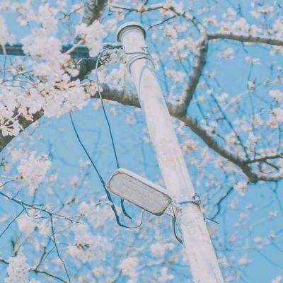 梦回大秦果盘版下载